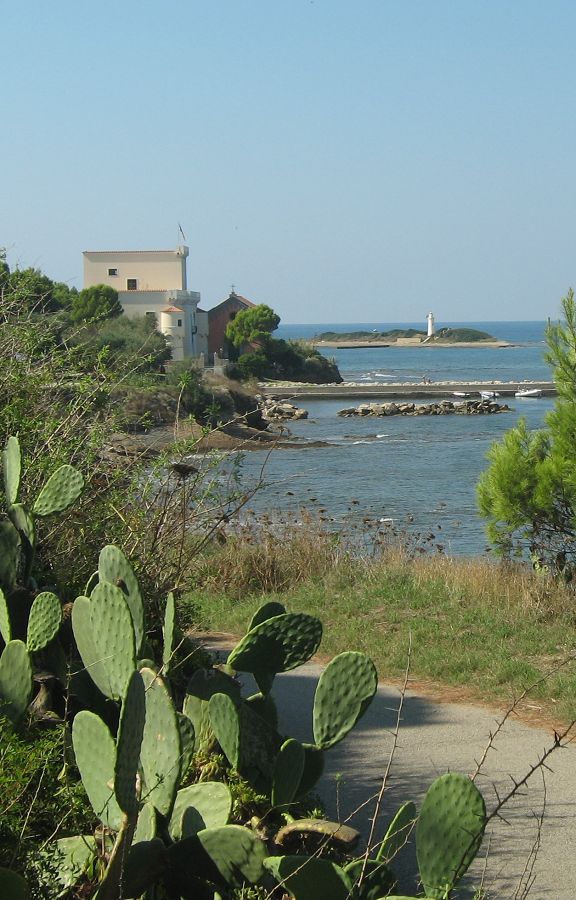 Punta Licosa (15)